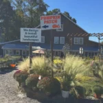 Garden center entrance with red pumpkin patch sign and autumn plants